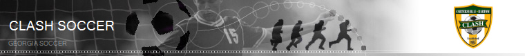 Georgia Soccer banner