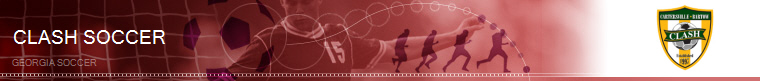 Georgia Soccer banner